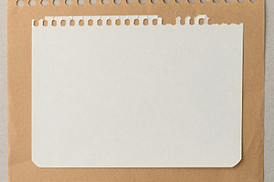A blank white sheet of paper with a perforated edge lies on a br, an Abstract Photo by ndanko
