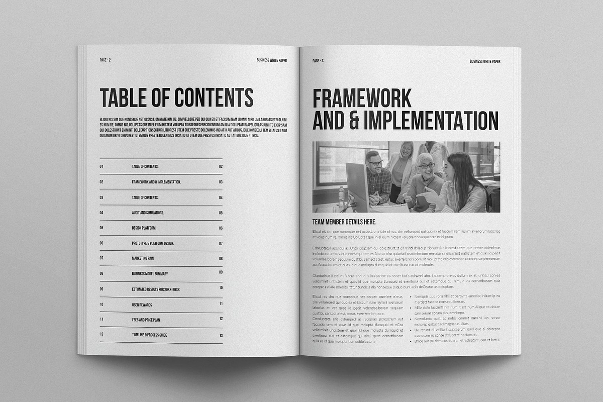 Business White Paper Template, a Brochure Template by E-Type (Photo 2 of 7)