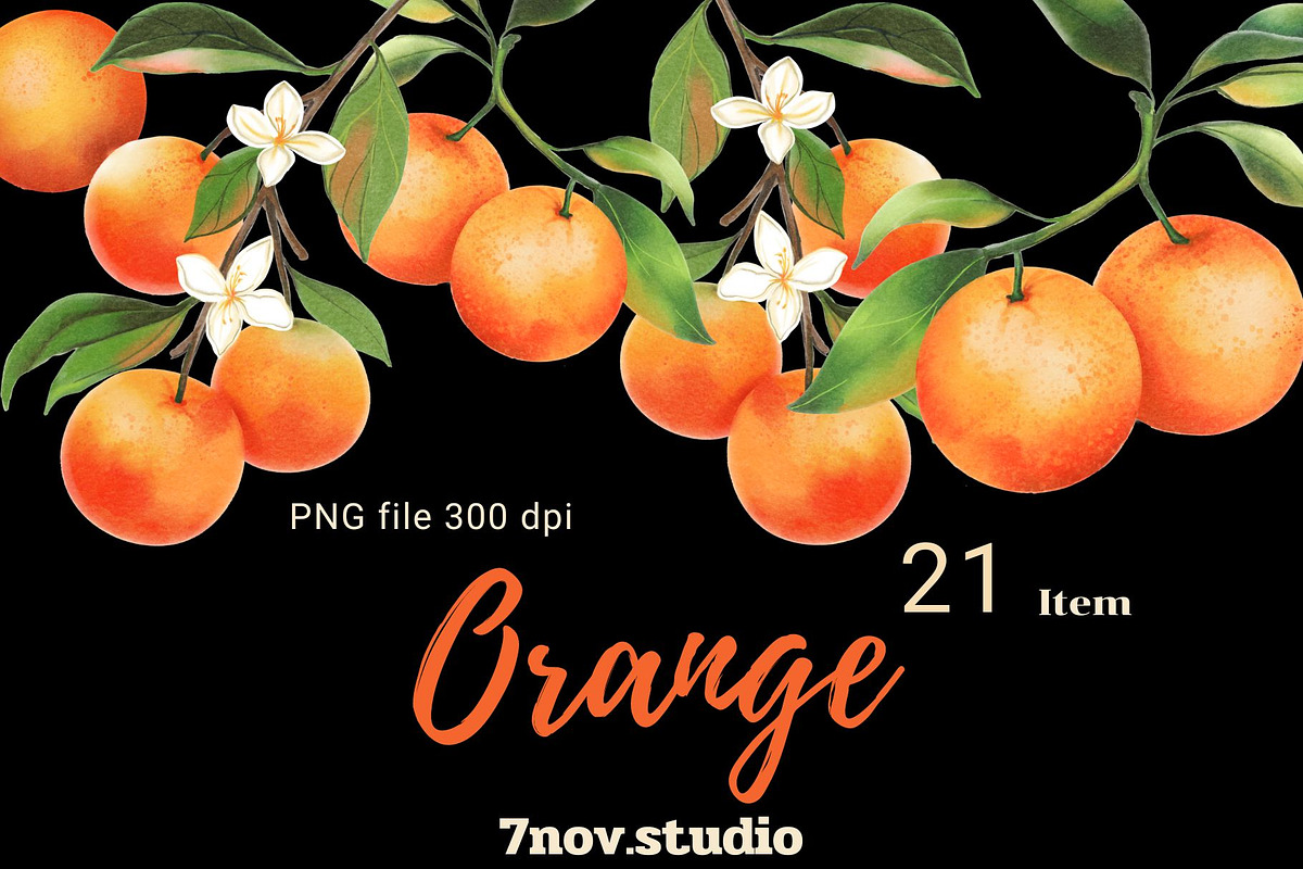 Orange clipart, a Decorative Illustration by 7nov.studio (Photo 1 of 6)