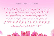 Wonderful Day - Romantic Script, a Script Font by Almarkhatype (Thumbnail 10 of 11)