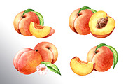 Honey Peaches. Original Watercolor, a Food Illustration by Daria Ustiugova (Thumbnail 5 of 21)