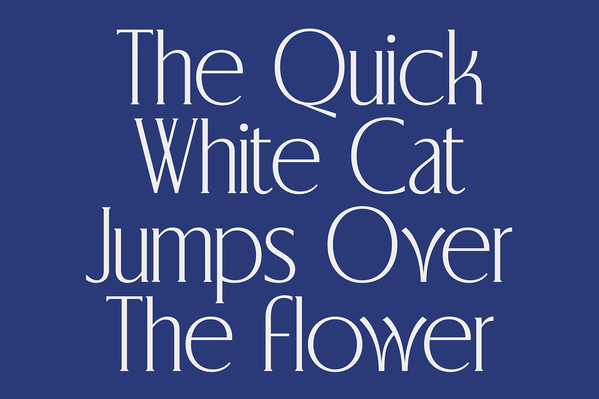CS Blythe – Stylish Serif Font, a Serif Font by Craft Supply Co. (Photo 2 of 8)