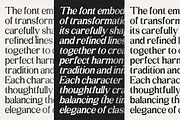 Amilent | 36 Style Font, a Serif Font by IM Studio (Thumbnail 13 of 13)
