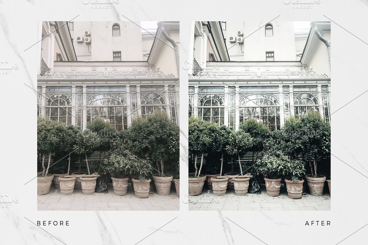 10 Botanical Lightroom Presets preview 5