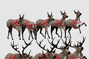 Santa & Helpers, a Characters & Person 3D Model by Studio Ochi (Thumbnail 9 of 13)