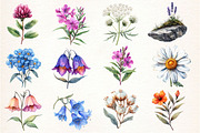 Botanical Forest Wildflower Clipart, an Illustration by Dream Creation (Thumbnail 3 of 4)