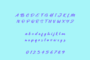 Liny Script Font, a Script Font by Creative Foundry (Thumbnail 7 of 9)