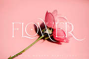 Bechilo – Modern Serif Font, a Serif Font by Yahya Type (Thumbnail 7 of 25)