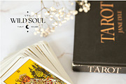 Ultimate CANVA Modern Logo Kit, a Branding & Logo Template by Forth and Wild (Thumbnail 14 of 23)