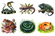 Watercolor Reptile Clipart Amphibian, an Illustration by CreationArt (Thumbnail 5 of 5)