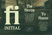 Gerfard, a Serif Font by Craft Supply Co. (Thumbnail 5 of 8)
