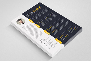 Word Professional Reusme Design