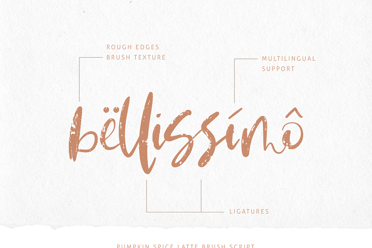 Pumpkin Spice Latte | Brush Script preview 5
