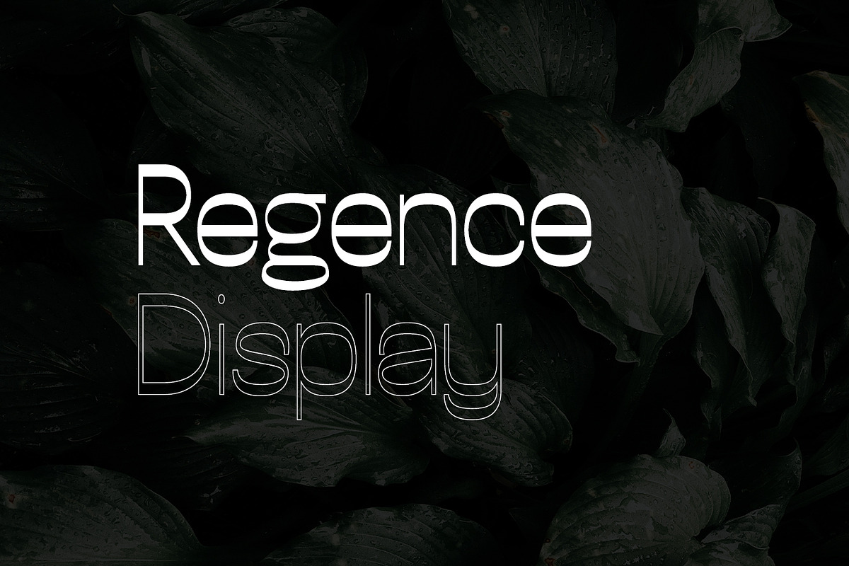 Regence Display typefaces + webfonts, a Font by Webhance Studio (Photo 3 of 6)
