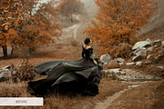 Bird Overlays Photoshop, a Plug-in Add-On by FixThePhoto (Thumbnail 8 of 32)