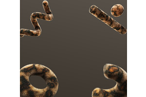 Wild party frame with geometric 3d, an Animal 3D Model by Marozhkastudio