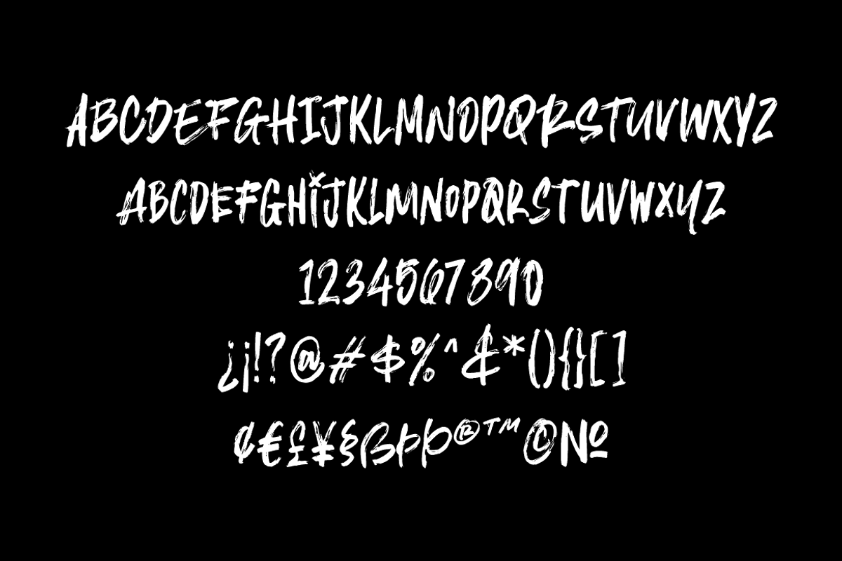 Leriqe Brush Font, a Sans Serif Font by 24Design Studios (Photo 5 of 5)