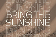 Queen Consort - Serif Font, a Serif Font by Alpaprana (Thumbnail 7 of 12)