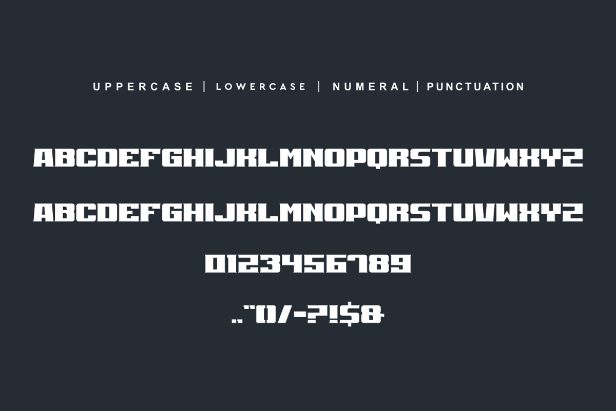 Cobra Speedy, a Serif Font by alon kelakon (Photo 5 of 6)