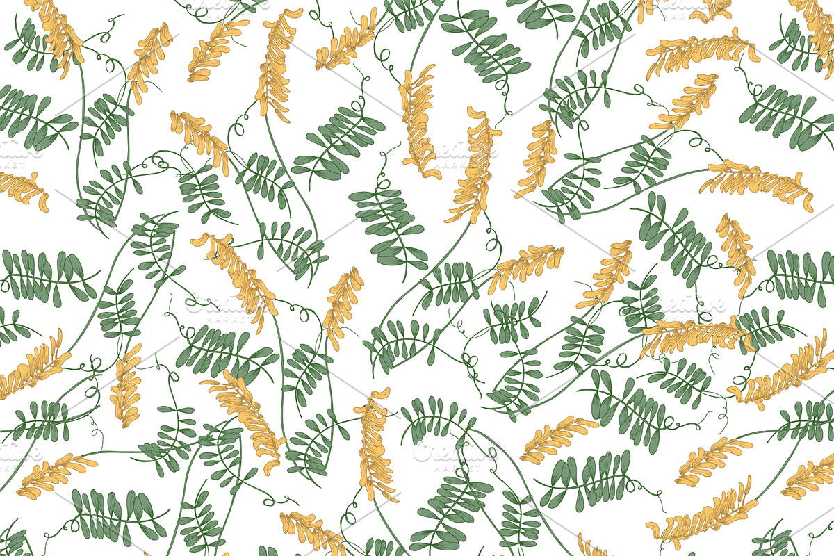 Wild flowers,herbs,herbaceous plants, a Texture Illustration by Good Studio (Photo 8 of 22)