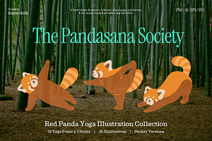Red Panda Yoga Illustration Set