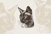 Cat Breeds Portrait Illustrations, an Animal Illustration by Nocturnal Wolf (Thumbnail 6 of 10)