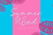 Summer Wind, a Script Font by khurasan (Thumbnail 1 of 8)