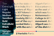 Aligarh - Stylish Slab Font Family, a Slab Serif Font by Namela Studio (Thumbnail 2 of 7)