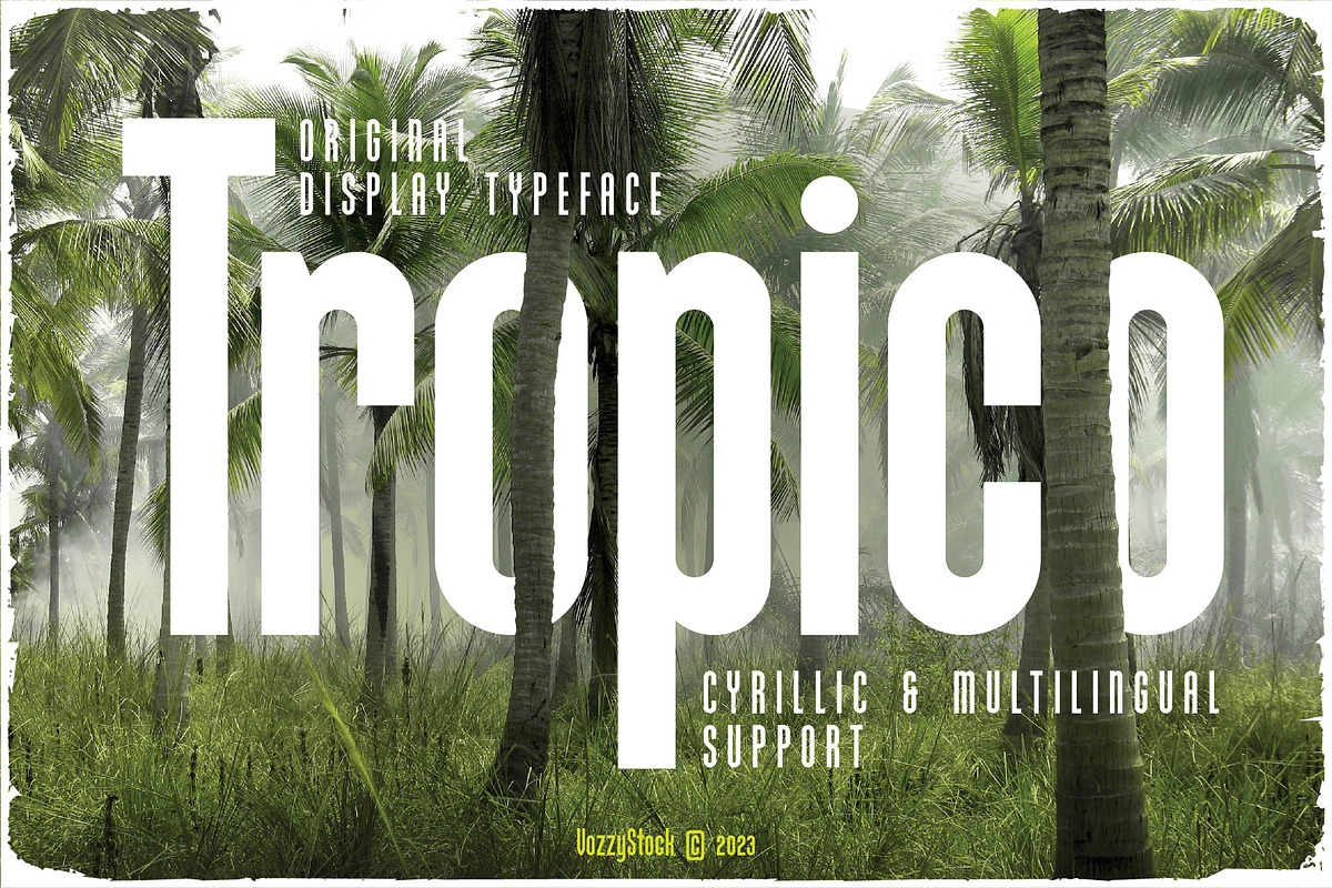 Vozzy Font Bundle | 24 typefaces, a Symbol Font by Vozzy Vintage Fonts (Photo 4 of 25)