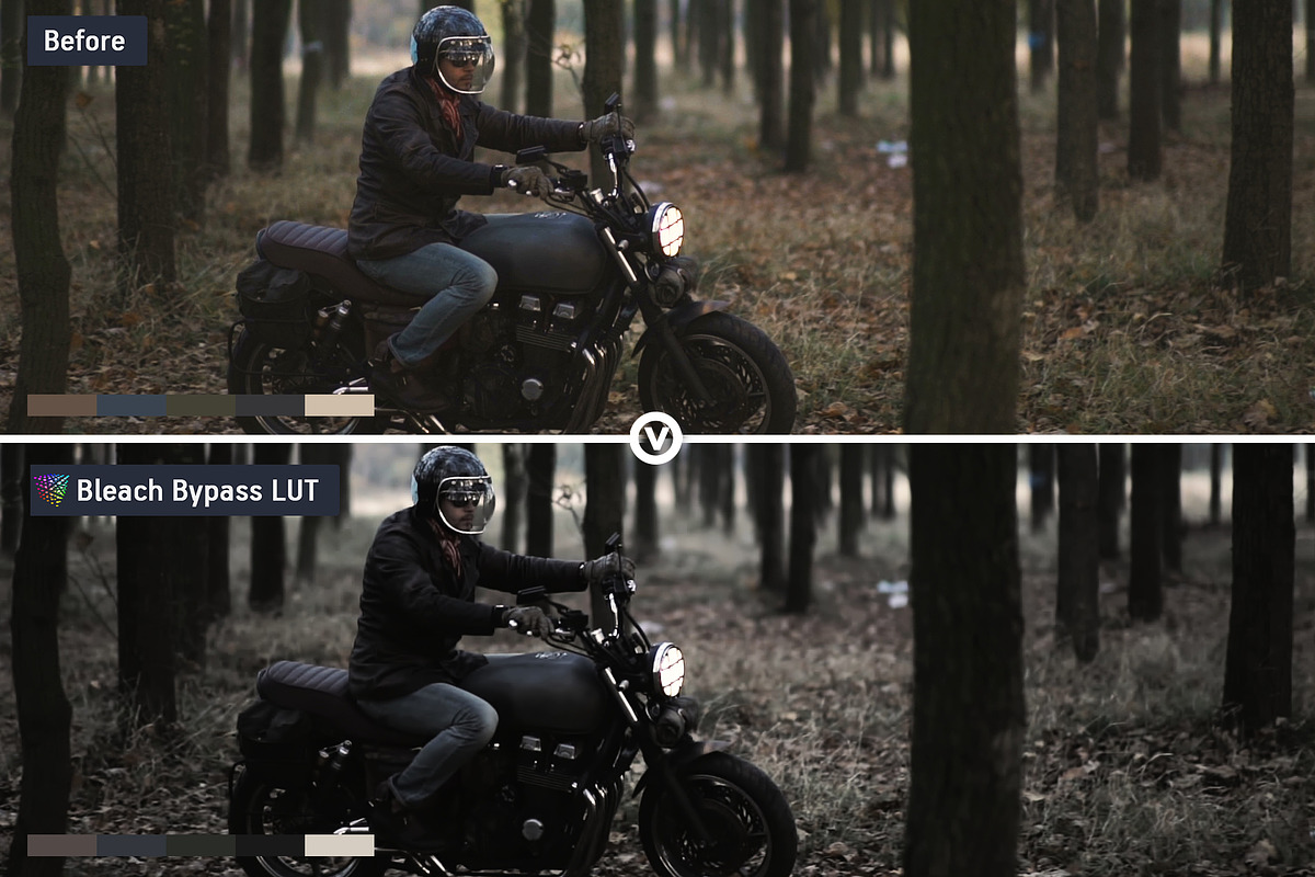 Bleach Bypass Video LUTs, a Preset Add-On by CineMart (Photo 5 of 10)