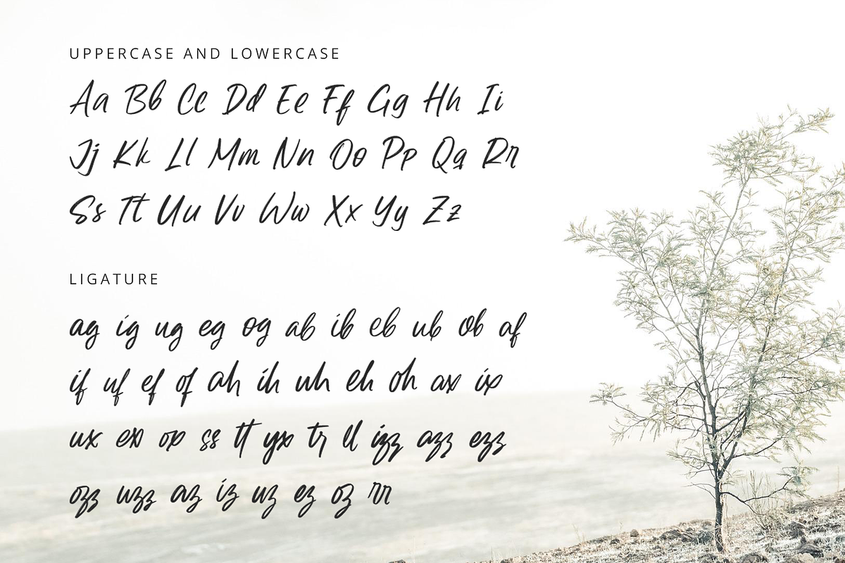 Safilla - Handwritten Font, a Script Font by overlaytemplates (Photo 4 of 5)