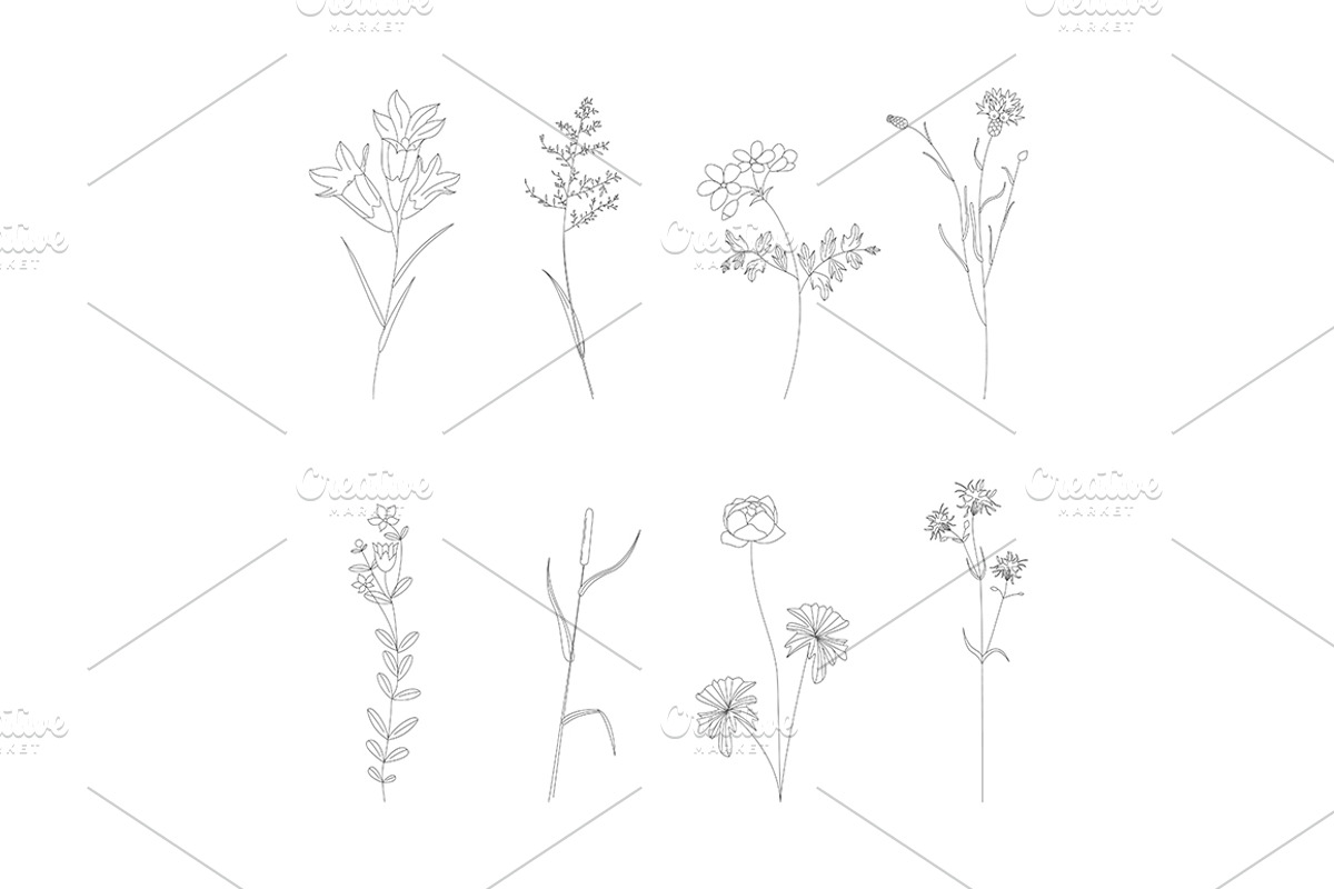 Botanical Plant Thin Line Icons Set., an Outline Icon by Bigmouse_art