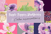 Purple Poppies&Blackberries-Clipart, an Illustration by watercolorwild.graphics (Thumbnail 6 of 10)