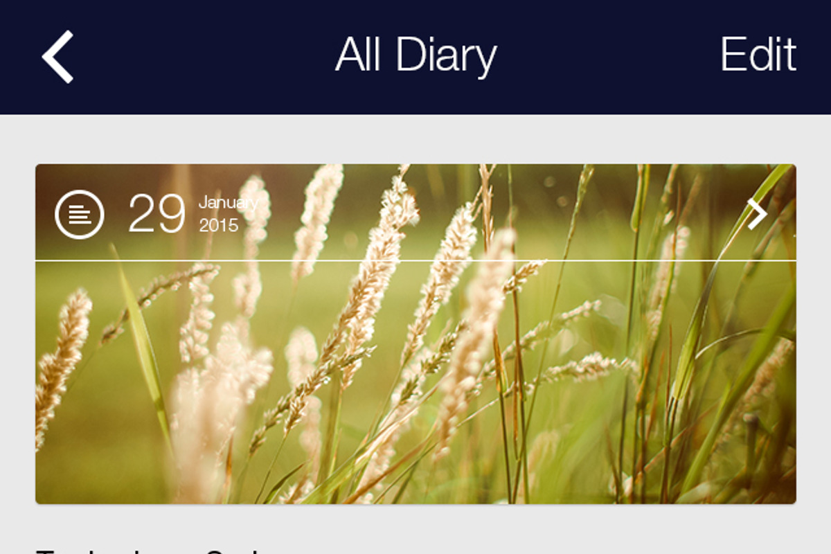 My Diary - UI Mobile Kit, an UI Kit Template by hoangpts (Photo 12 of 18)
