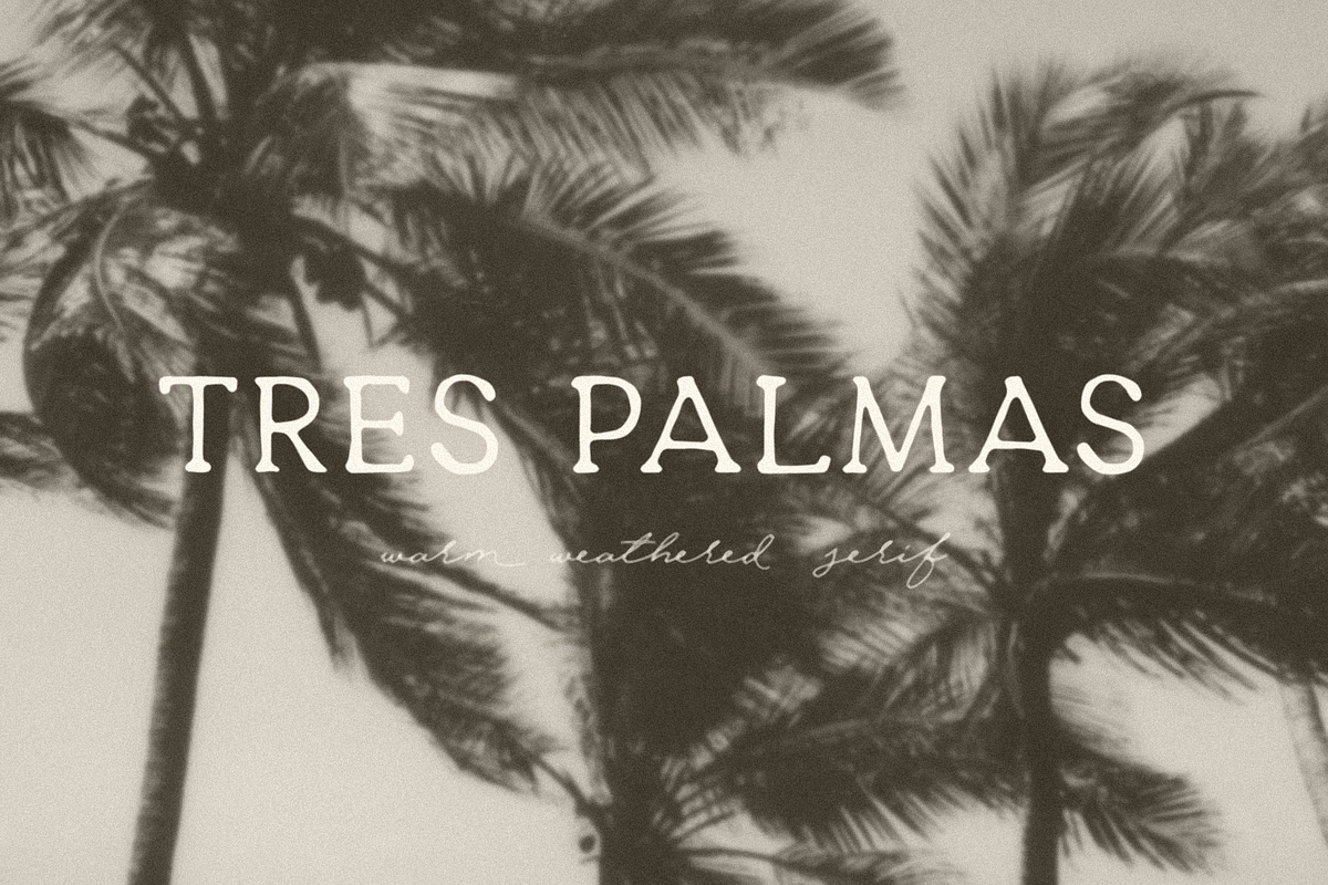 Tres Palmas, a Serif Font by Bruised Goods (Photo 1 of 6)