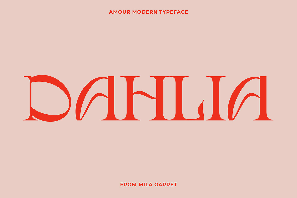 Amour Modern Display Logo Serif, a Sans Serif Font by Mila Garret (Photo 12 of 27)