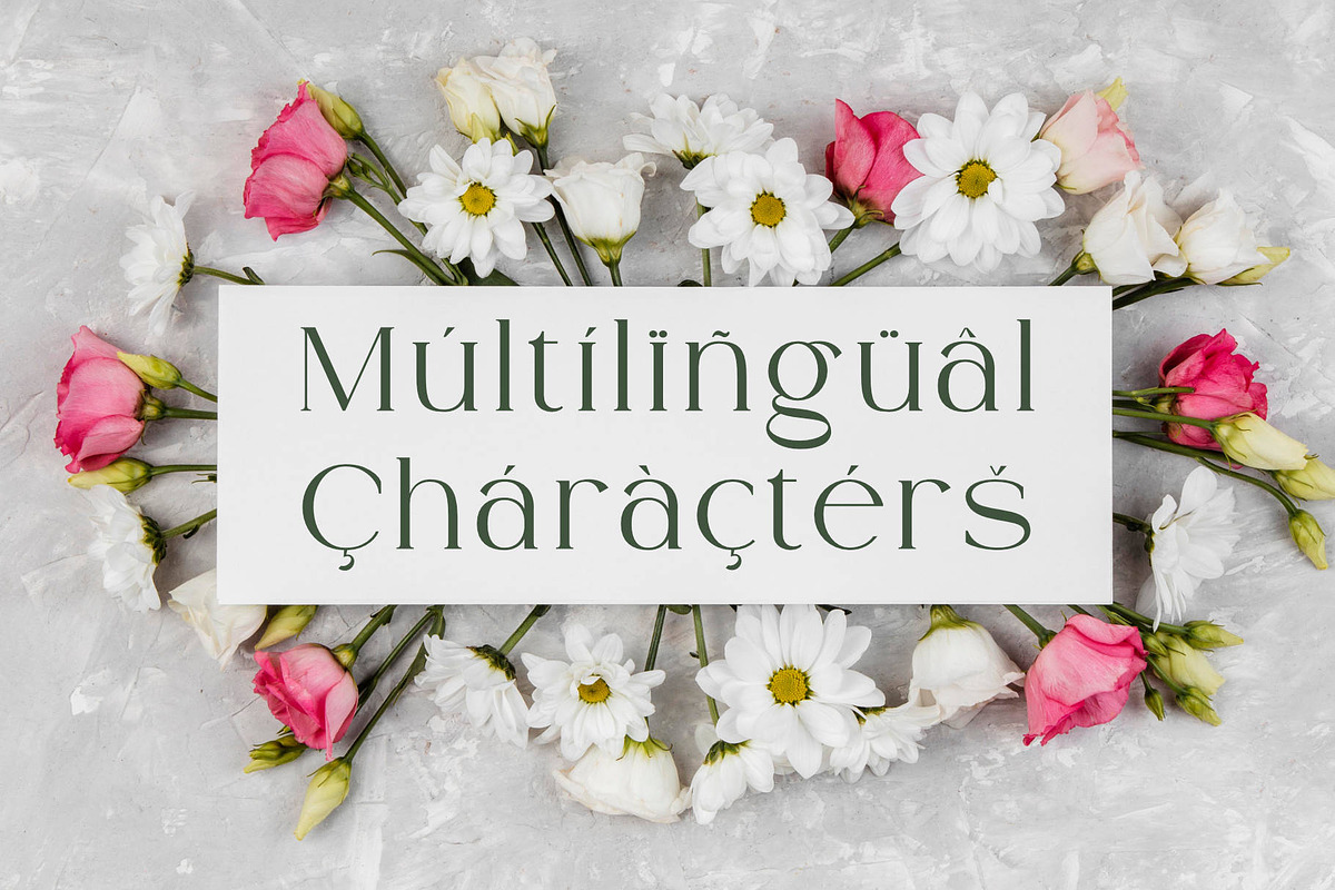 Ammira | A Modern and Elegant Serif, a Serif Font by Andrimada Creative (Photo 5 of 13)