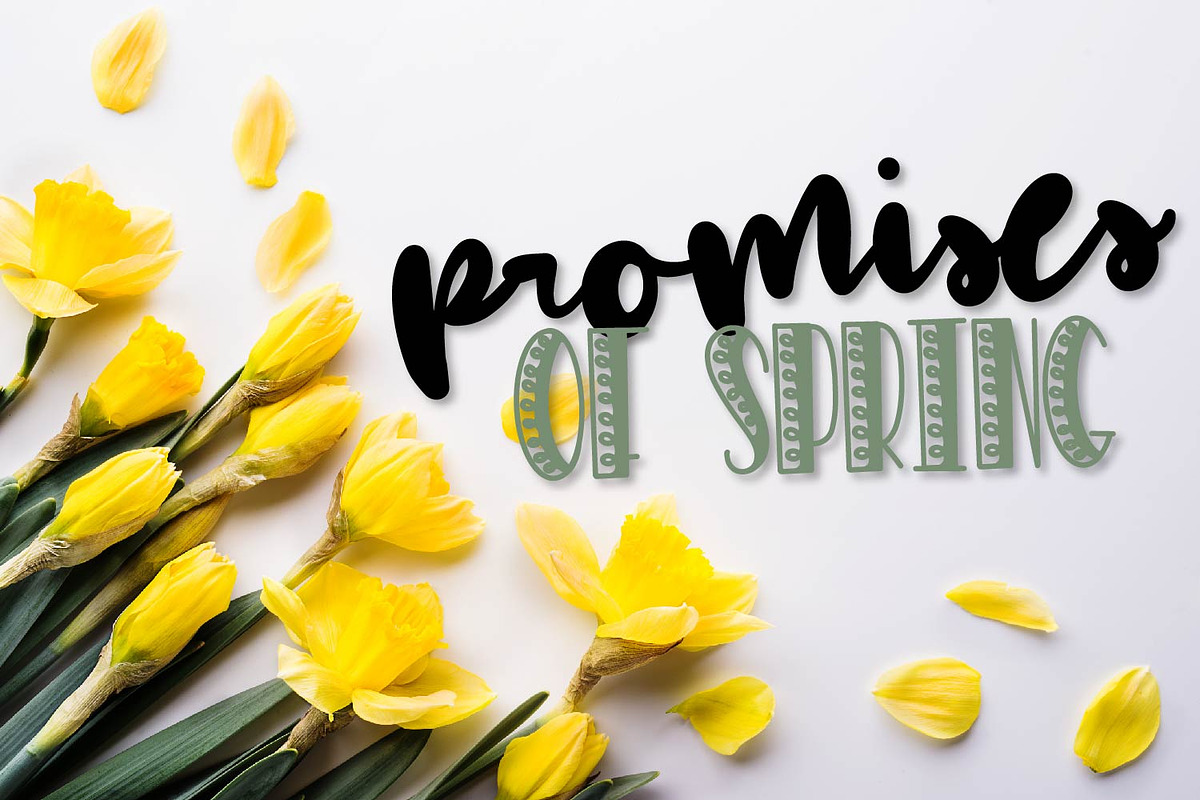 Daisy Duo - Script & Print Fonts preview 5