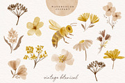 Watercolor Vintage Botanical Clipart, an Illustration by beatriceviyiwi (Thumbnail 6 of 6)