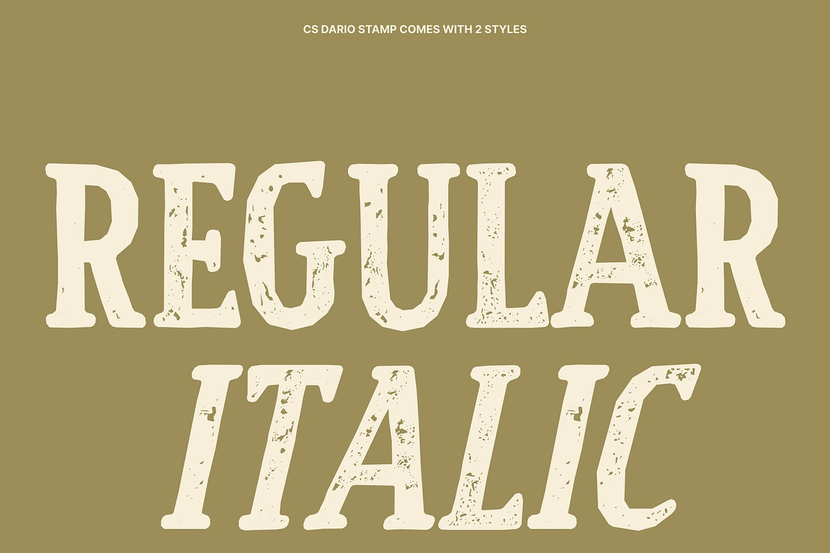 CS Dario Stamp, a Serif Font by Craft Supply Co. (Photo 3 of 8)