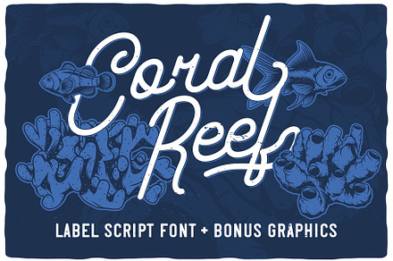 Coral Reef script font, a Script Font by Vozzy Vintage Fonts