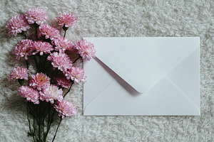 Pink flowers beside a white envelope, a Photo by Beautiful things