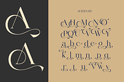 Aulisse - A Modern Elegant Serif, a Serif Font by Qweera Studio (Thumbnail 9 of 12)
