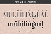Nortika Serif Vintage Display, a Serif Font by LuhopCreative (Thumbnail 9 of 13)