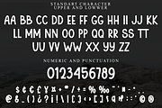 Sample Leaguage, a Sans Serif Font by FreshTypeINK (Thumbnail 3 of 8)