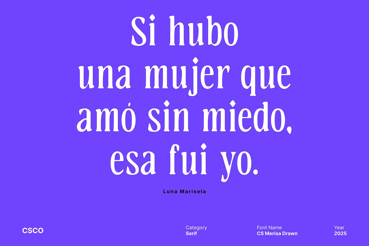 CS Merisa Drawn, a Serif Font by Craft Supply Co. (Photo 3 of 8)