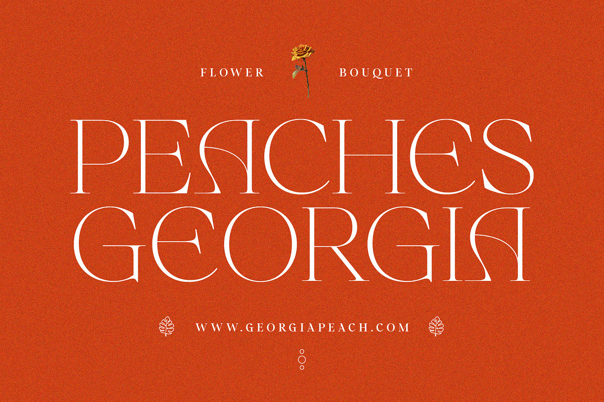 SS Angel Peach - Fancy Serif Font, a Serif Font by Typocracy Studio (Photo 8 of 12)
