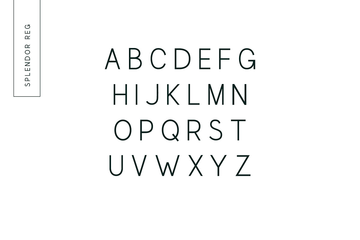 SPLENDOR - modern display font preview 6