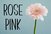 Fashion, a Sans Serif Font by FreshTypeINK (Thumbnail 2 of 8)