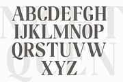 Night Queen, a Serif Font by josstype (Thumbnail 5 of 6)